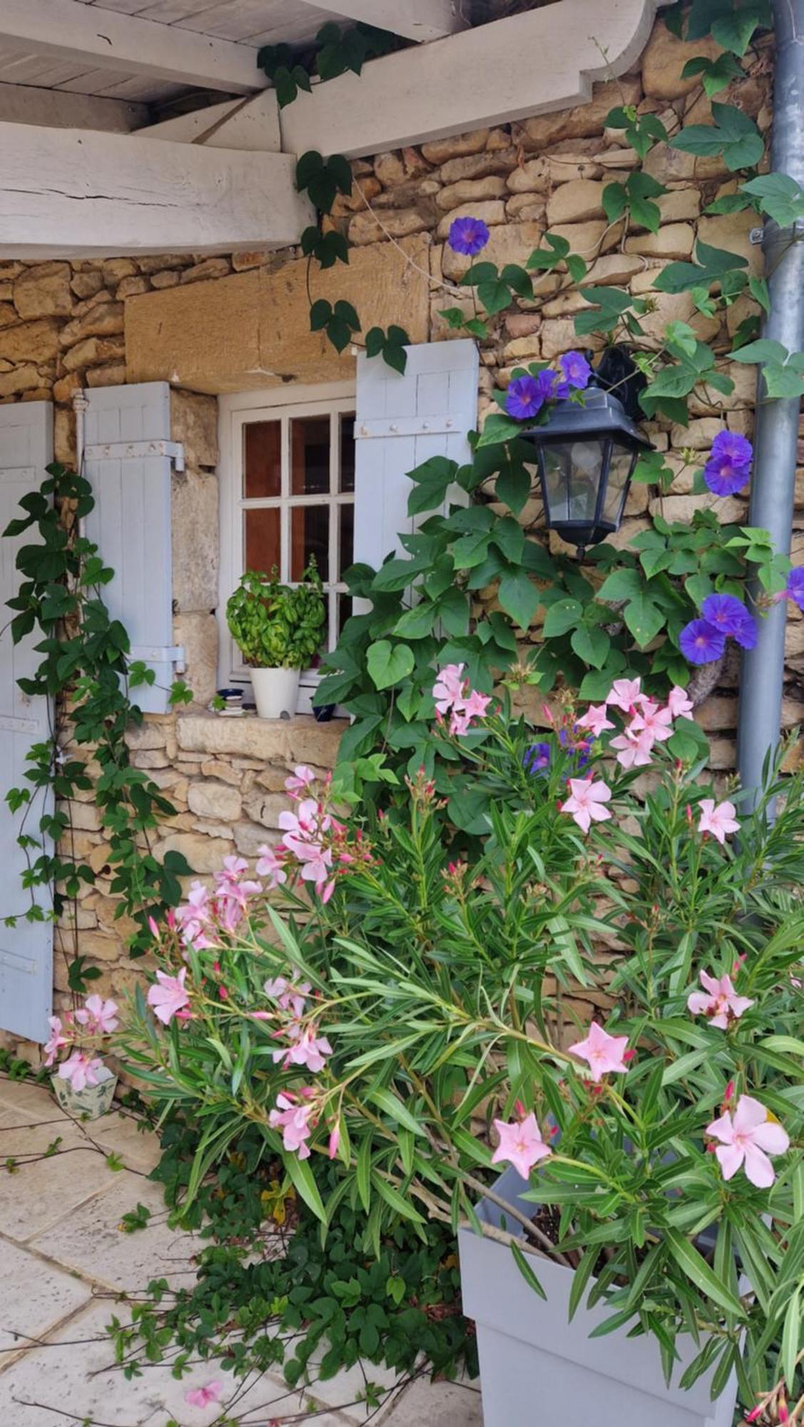 Le Buisson-de-Cadouin Le Clos-Lascazes Maison D'Hotes מראה חיצוני תמונה